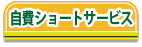 サービス付高齢者住宅